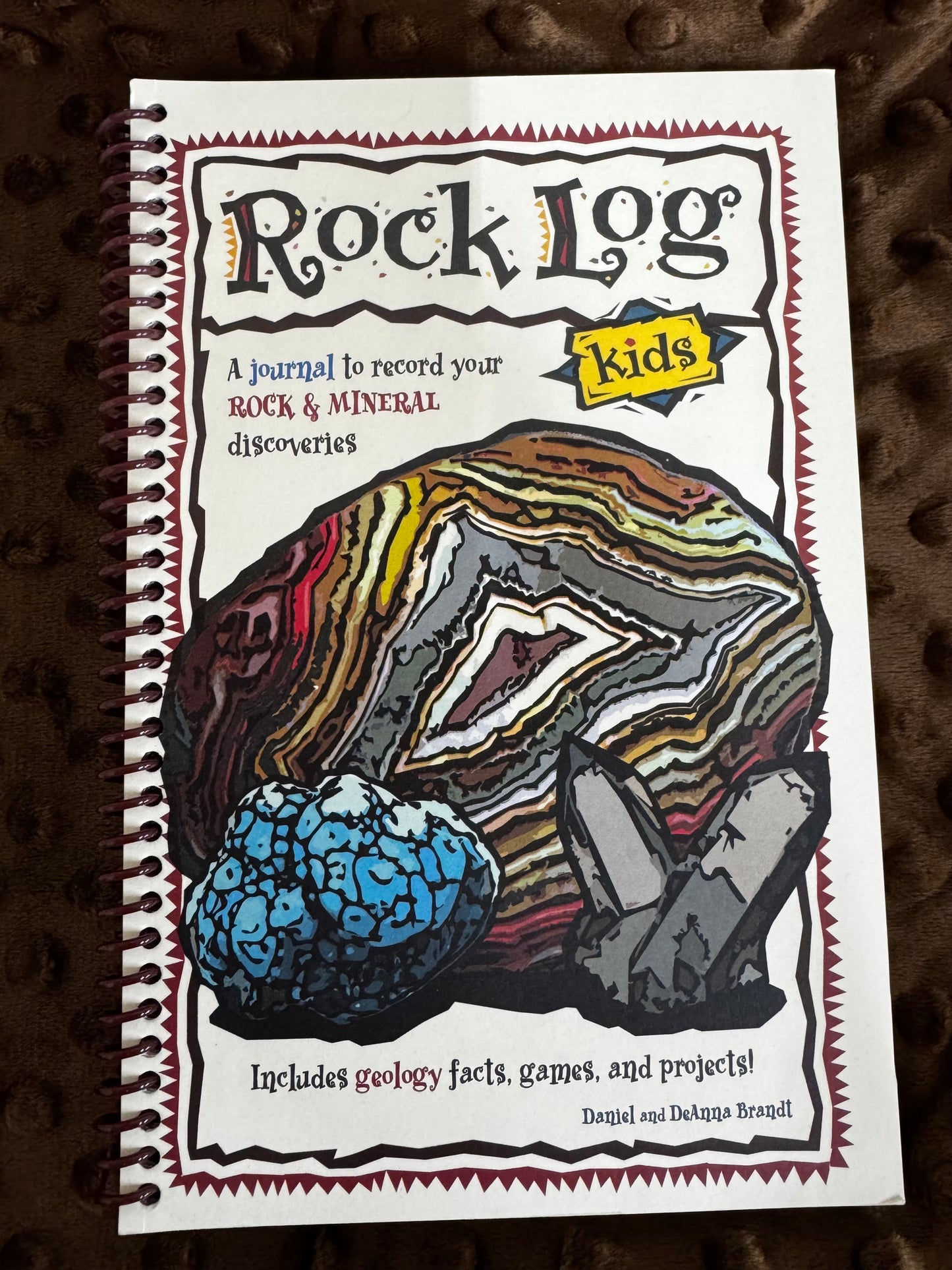 Rock Log for Kids
