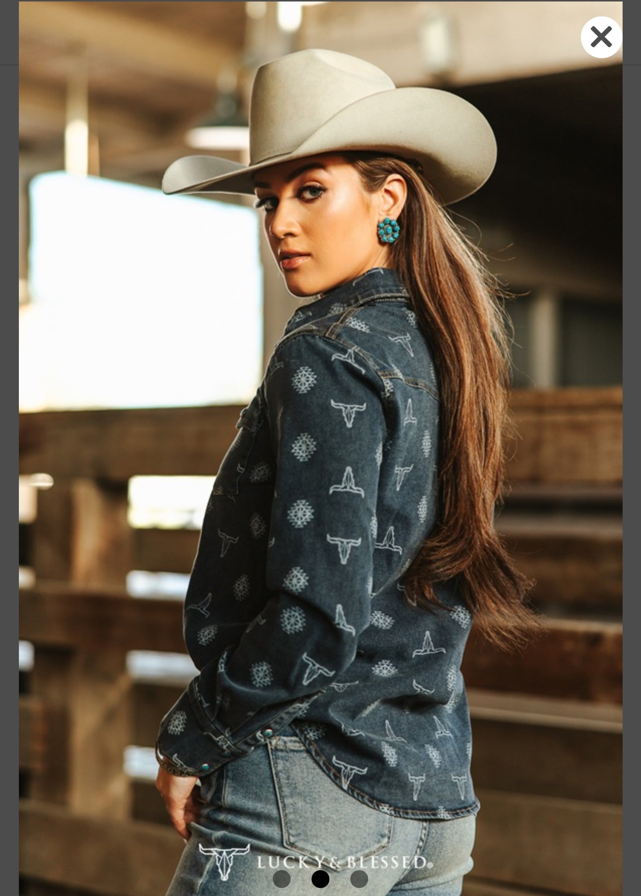L&B Denim Cow Skull Aztec Pearl Snap Shirt