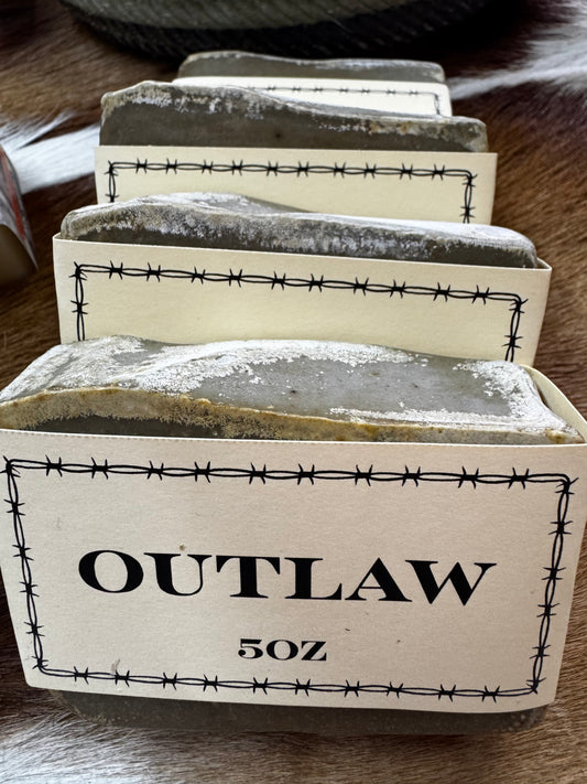 Calamity Jane’s Outlaw