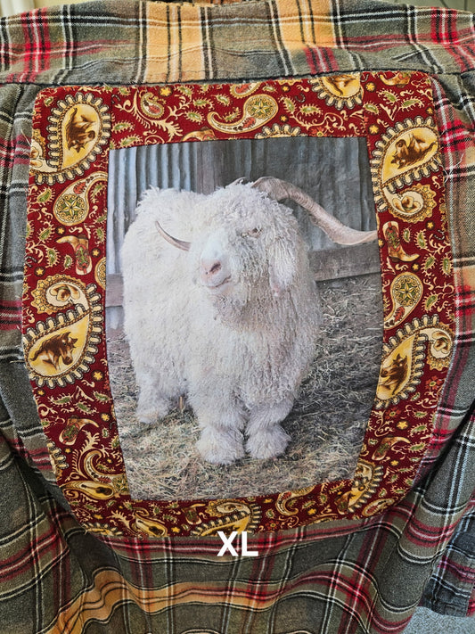 Stinkin’ Cute Angora 2