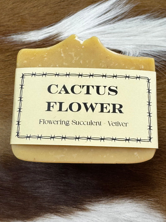 Calamity Jane’s Cactus Flower