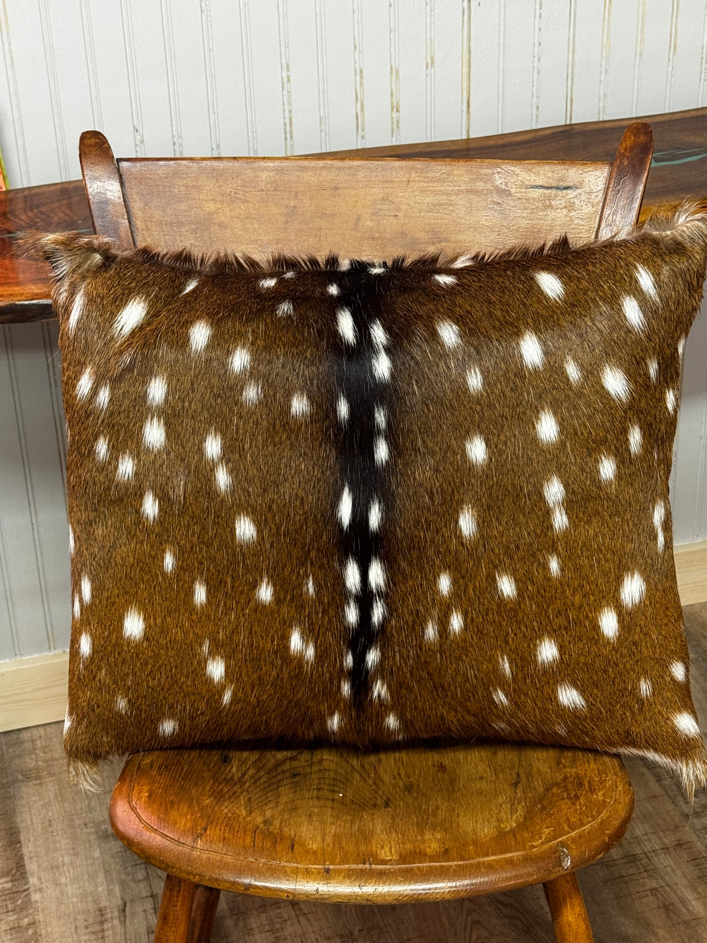 Axis hide pillow