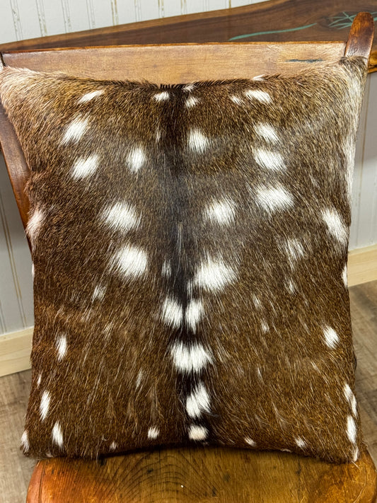 Axis hide pillow
