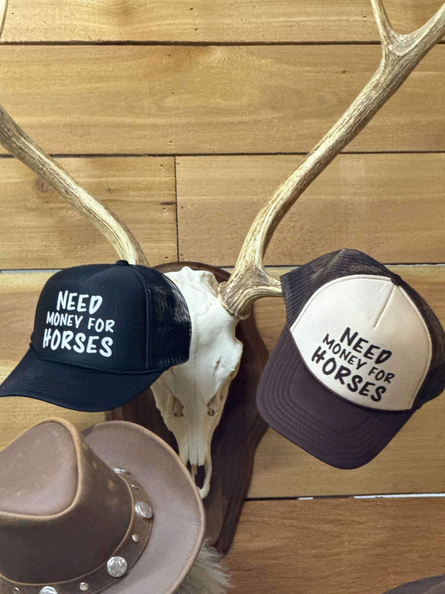 Need Money for Horses