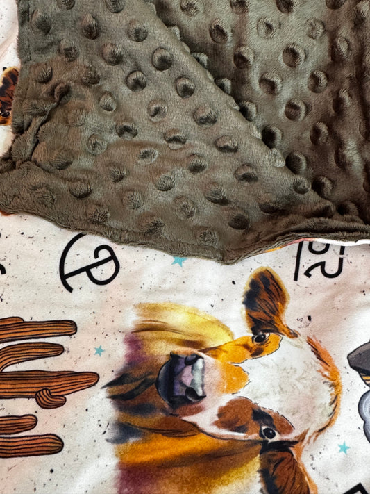 Baby Blanket