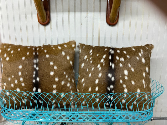 Axis Pillow