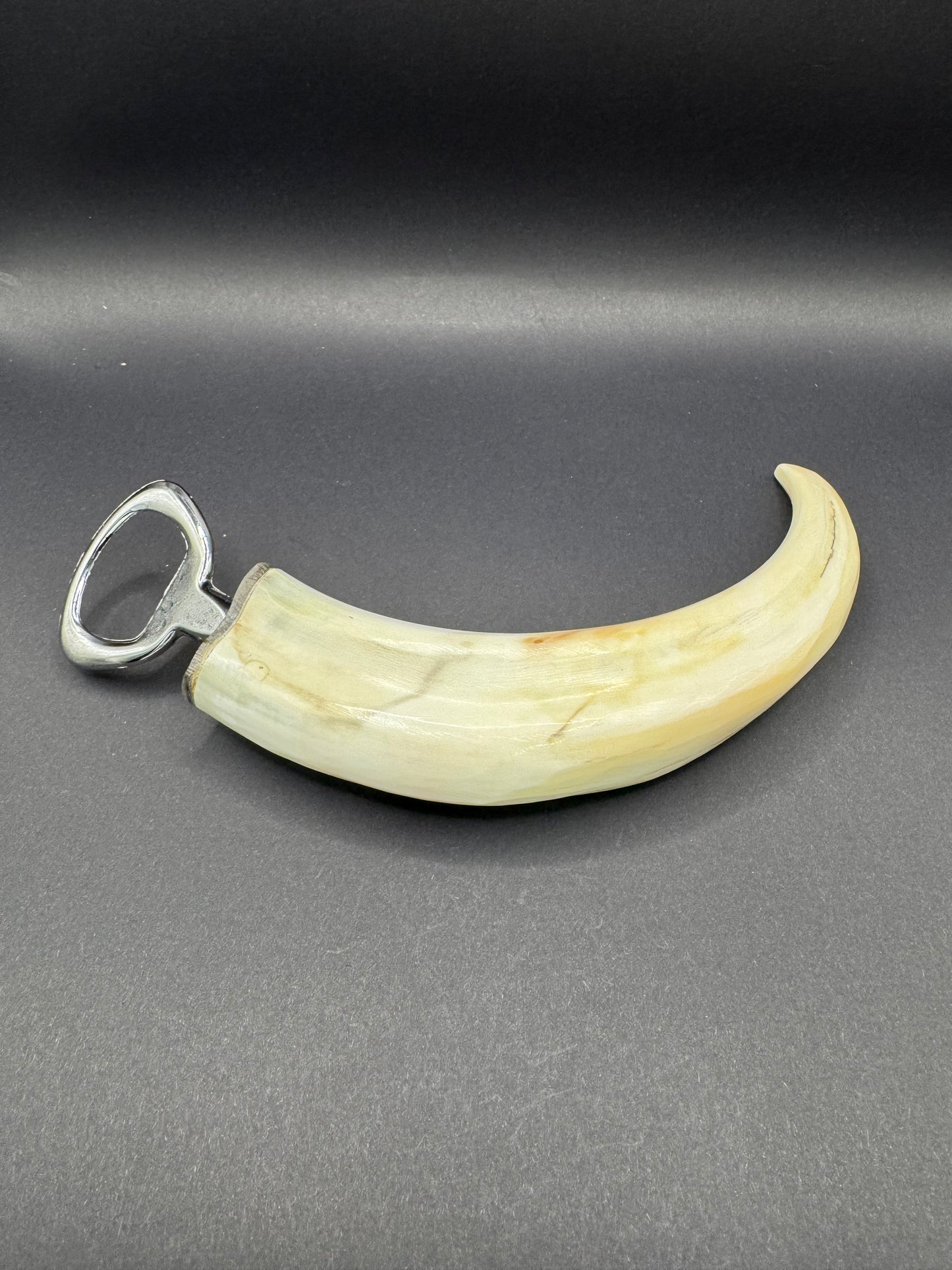 Warthog Tusk Bottle Opener